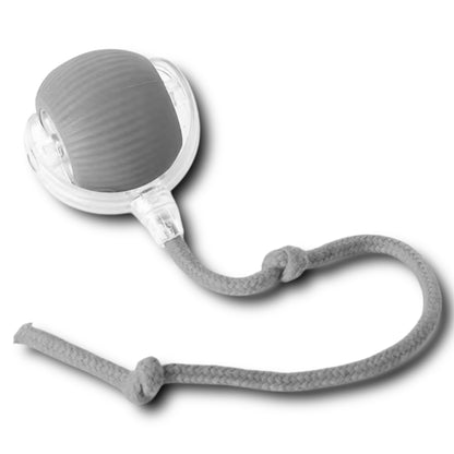 PlayfullPaws Cat-Ball